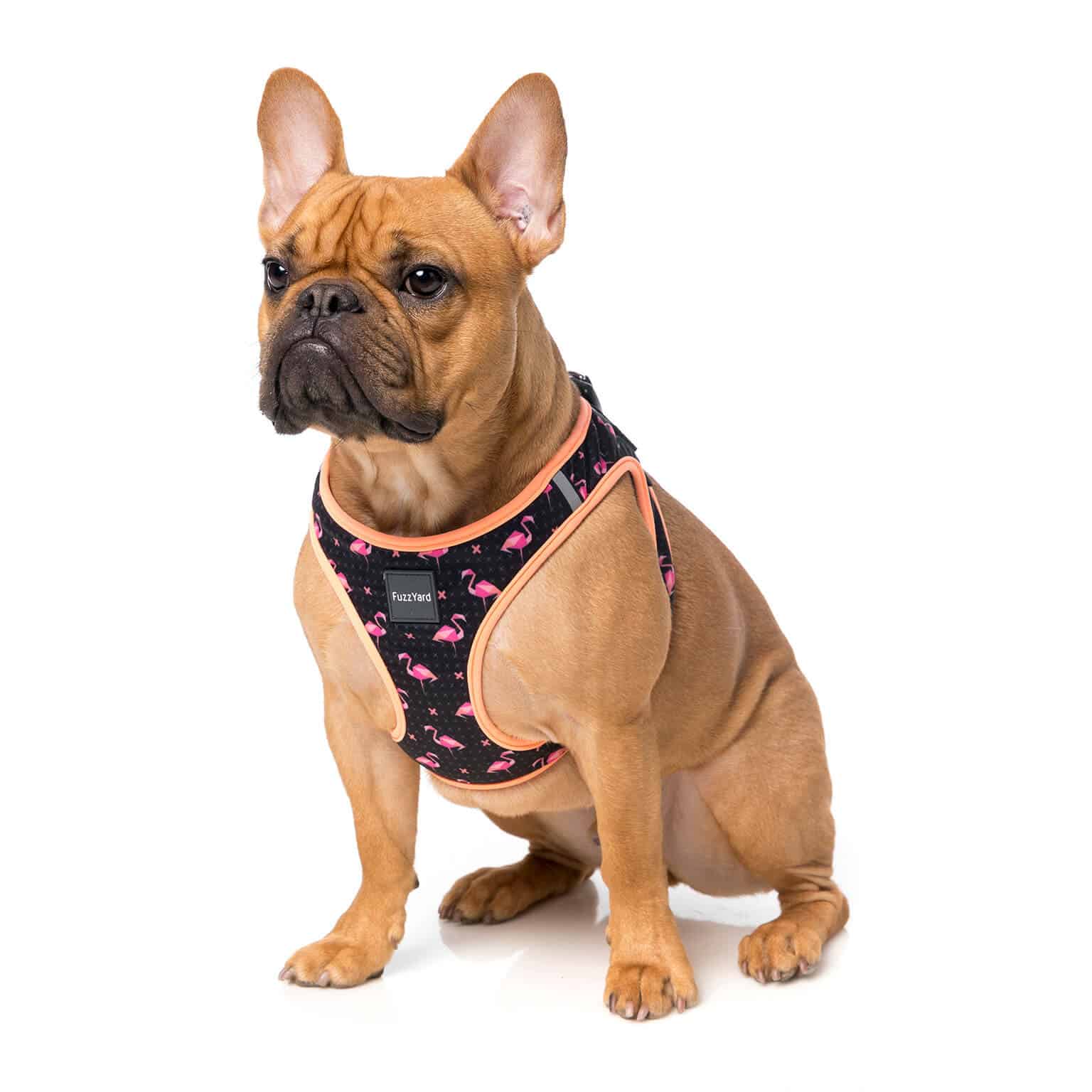 Simply dog harness instructions